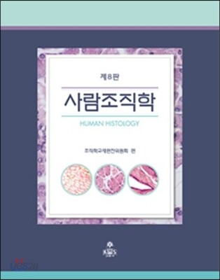 사람조직학