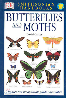 Butterflies & Moths: The Clearest Recognition Guide Available