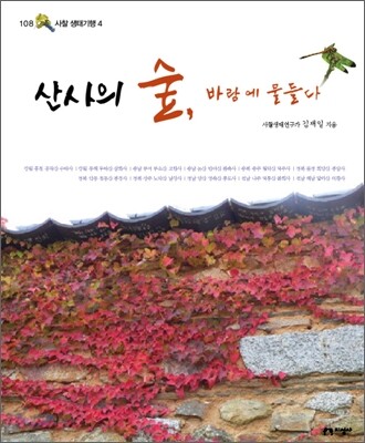 산사의 숲, 바람에 물들다