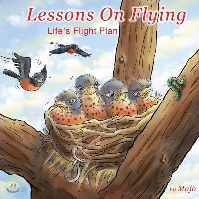 Lessons on Flying: life's flight plan