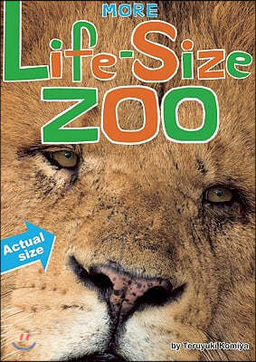 More Life-Size Zoo: Lion, Hippopotamus, Polar Bear and More--An All New Actual-Size Animal Encyclopedia