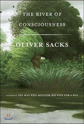 The River of Consciousness
