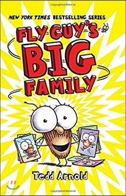 Fly Guy's Big Family (Fly Guy #17): Volume 17