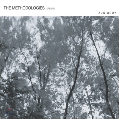 김책, 정재일 - The Methodologies