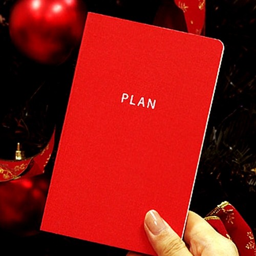 2010 Diary - PLAN (RED)