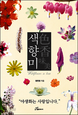 색향미