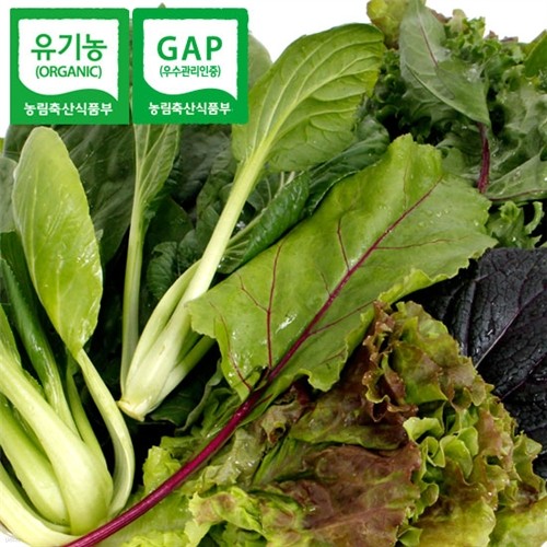 GAP인증 유기농 쌈채소 1kg