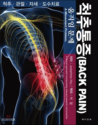 척추통증 : 움직임 문제