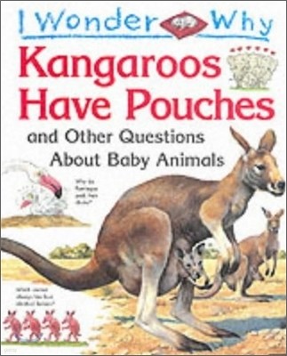 I Wonder Why : Kangaroos Have Pouches