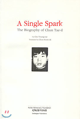 A Single Spark