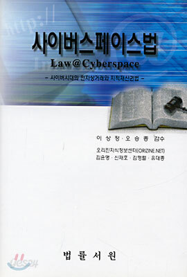 사이버 스페이스법