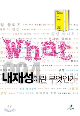 내재성이란 무엇인가