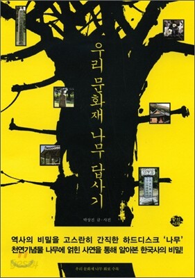 우리 문화재 나무 답사기