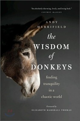 The Wisdom of Donkeys: Finding Tranquility in a Chaotic World