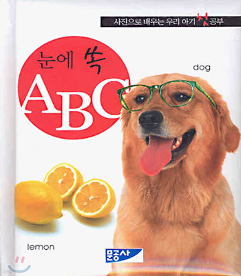 눈에 쏙 ABC