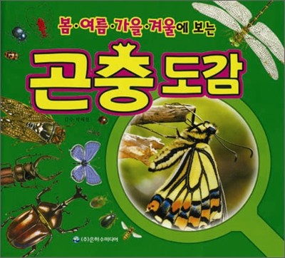 봄·여름·가을·겨울에 보는 곤충 도감