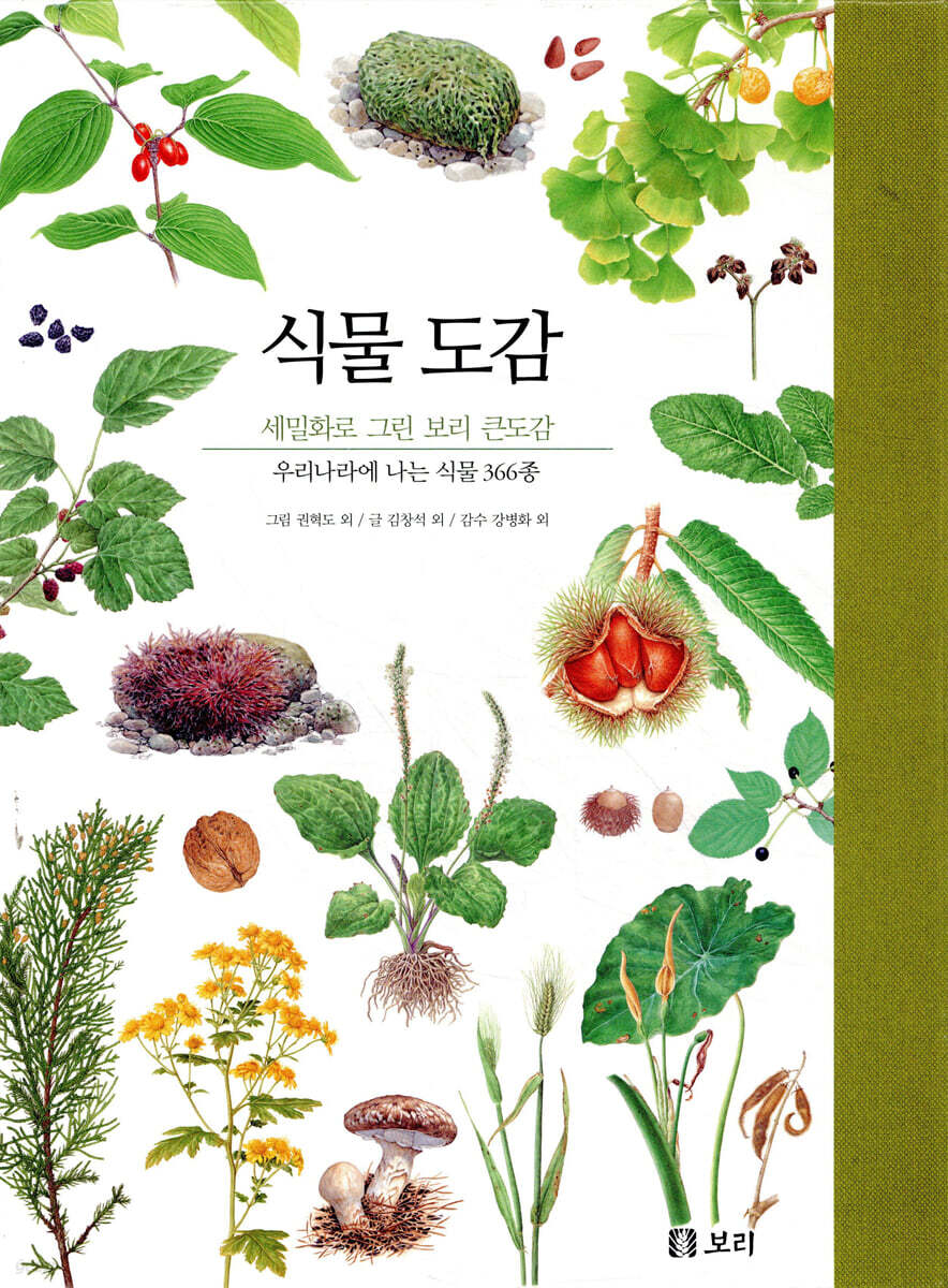 식물 도감