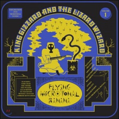 King Gizzard & The Lizard Wizard (킹 기저드 앤 더 리저드 위저드) - Flying Microtonal Banana