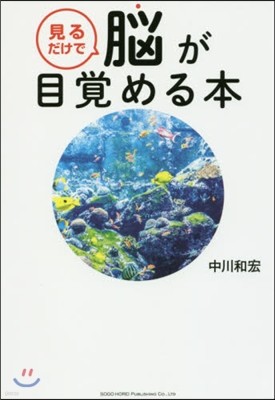 見るだけで腦が目覺める本