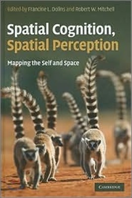 Spatial Cognition, Spatial Perception