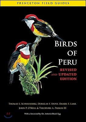 Birds of Peru