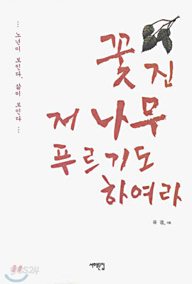 꽃 진 저 나무 푸르기도 하여라