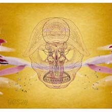 Devendra Banhart - What Will We Be (Limited Edition)