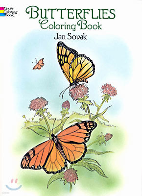 Butterflies Coloring Book