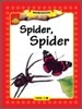 Sunshine Readers Level 1 : Spider Spider (Workbook)