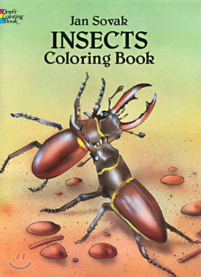 Insects Coloring Book