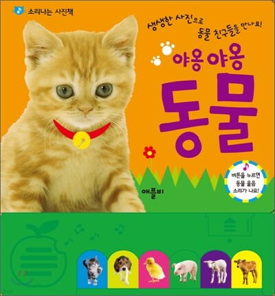 야옹야옹 동물
