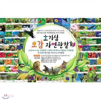 호기심 오감 자연관찰(전81권)