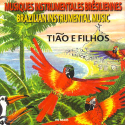 Brazilian Instrumental Music