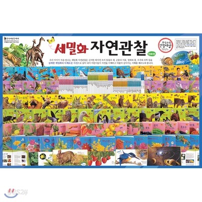 세밀화자연관찰 전 80권