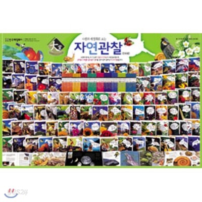 사진과 세밀화로 보는 자연관찰(전90권)