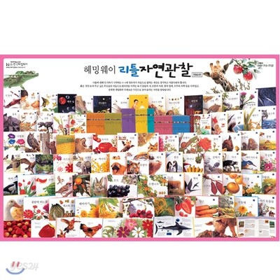리틀자연관찰(전80권)