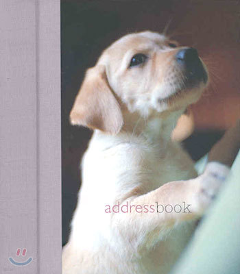 Puppy at Play (Mini Address Book)