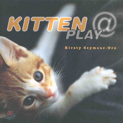 Kitten @ Play