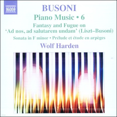 Wolf Harden : ǾƳ ǰ 6 (Busoni: Piano Music Vol.6 - Sonata Op.20, Prelude & Etude en Arpeges)  ϵ