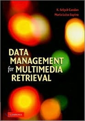 Data Management for Multimedia Retrieval