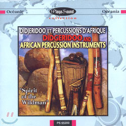 Didgeridoo And African Percussion Instruments