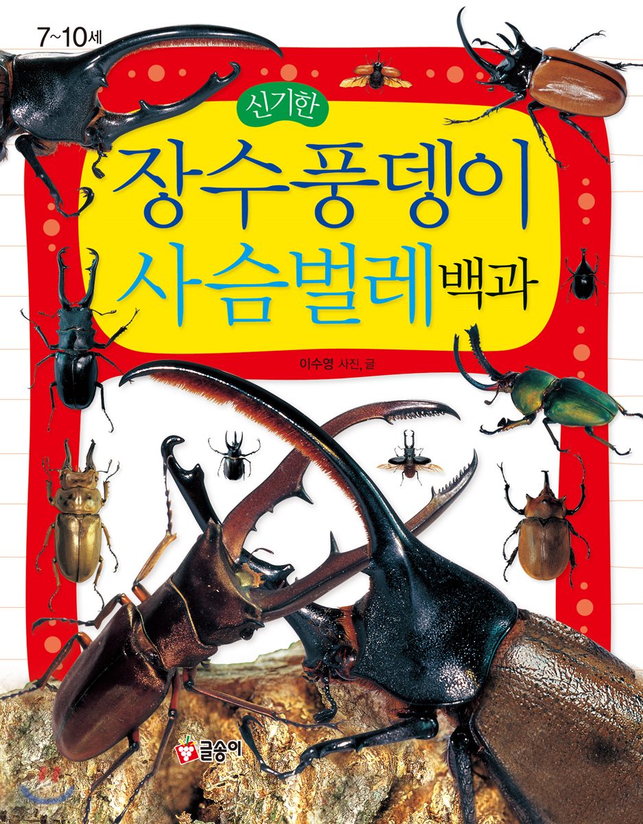 신기한 장수풍뎅이 사슴벌레 백과