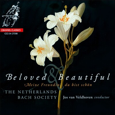 Johannette Zomer 연인과 아름다움 - 북독일 바로크 작곡가들의 칸타타와 모테트 (Beloved & Beautiful - Bach, Schutz, Bohm)