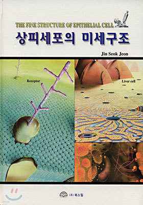 상피세포의 미세구조