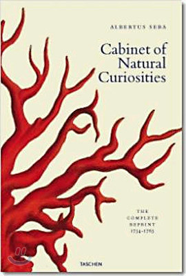 Albertus Seba Cabinet of Natural Curiosities