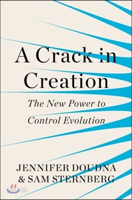 Crack in Creation