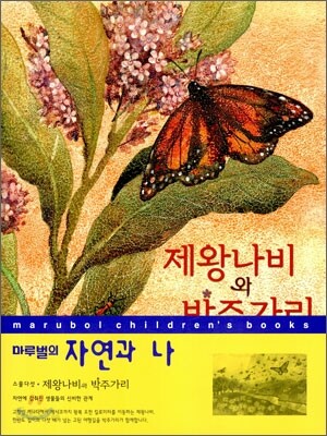 제왕나비와 박주가리