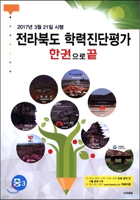 전라북도 학력진단평가 한권으로 끝 중3 (2017년)