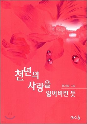 천년의 사랑을 잃어버린 듯