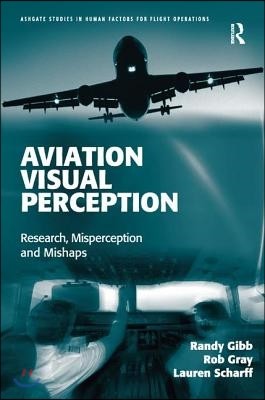 Aviation Visual Perception